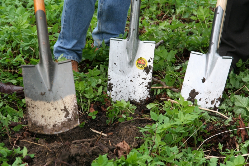 pepiniere-NANS LES PINS-min_work-lawn-flower-tool-green-backyard-1103633-pxhere.com